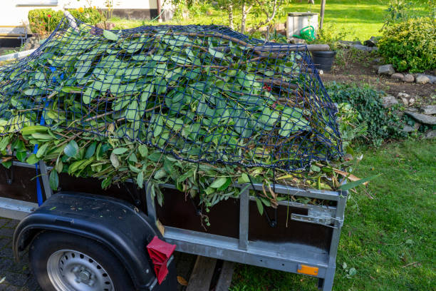 Best Moving and Downsizing Cleanouts  in St Augusta, MN